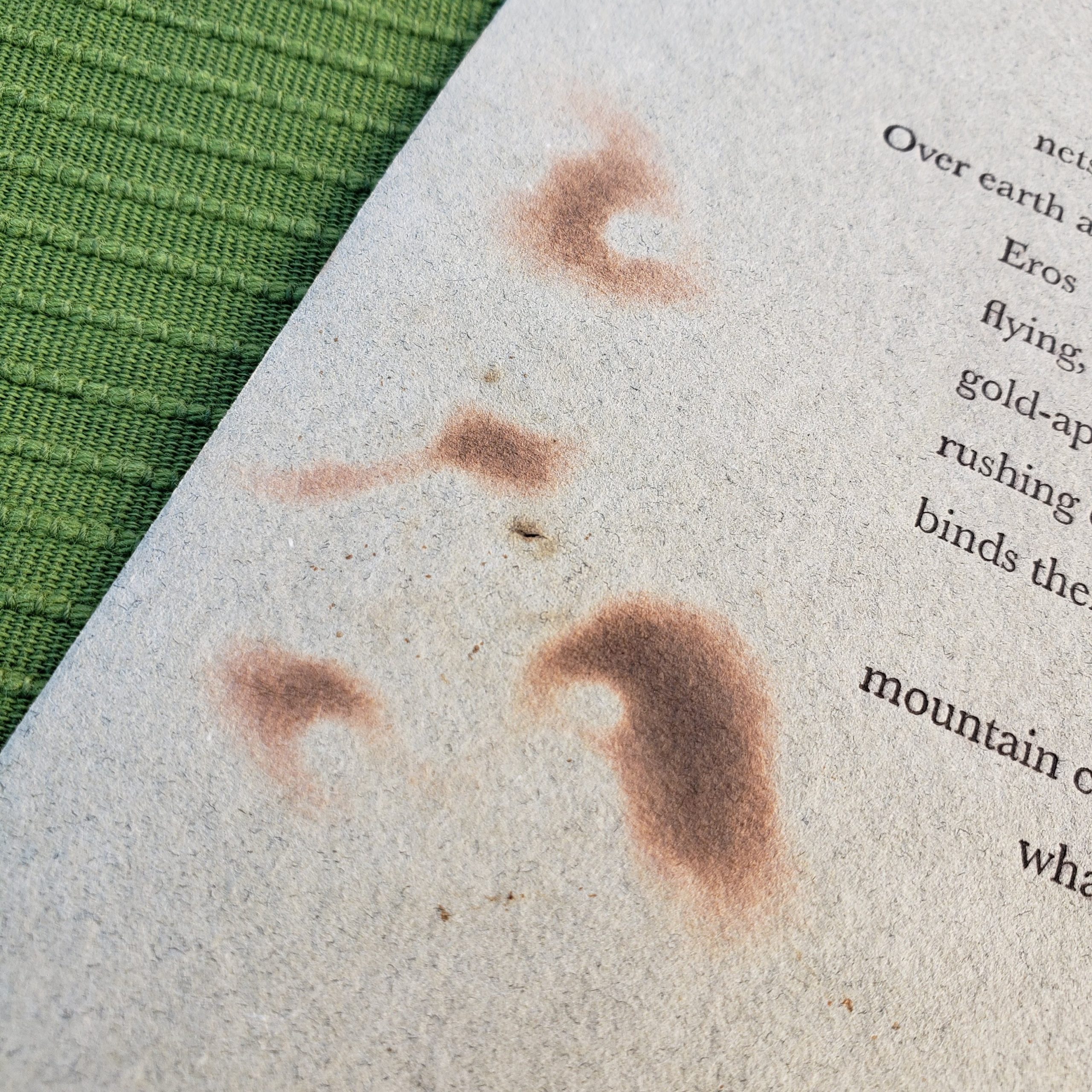 “4th Choral Ode” from Euripides’ Hippolytos, broadside - Anne Carson - Image 3