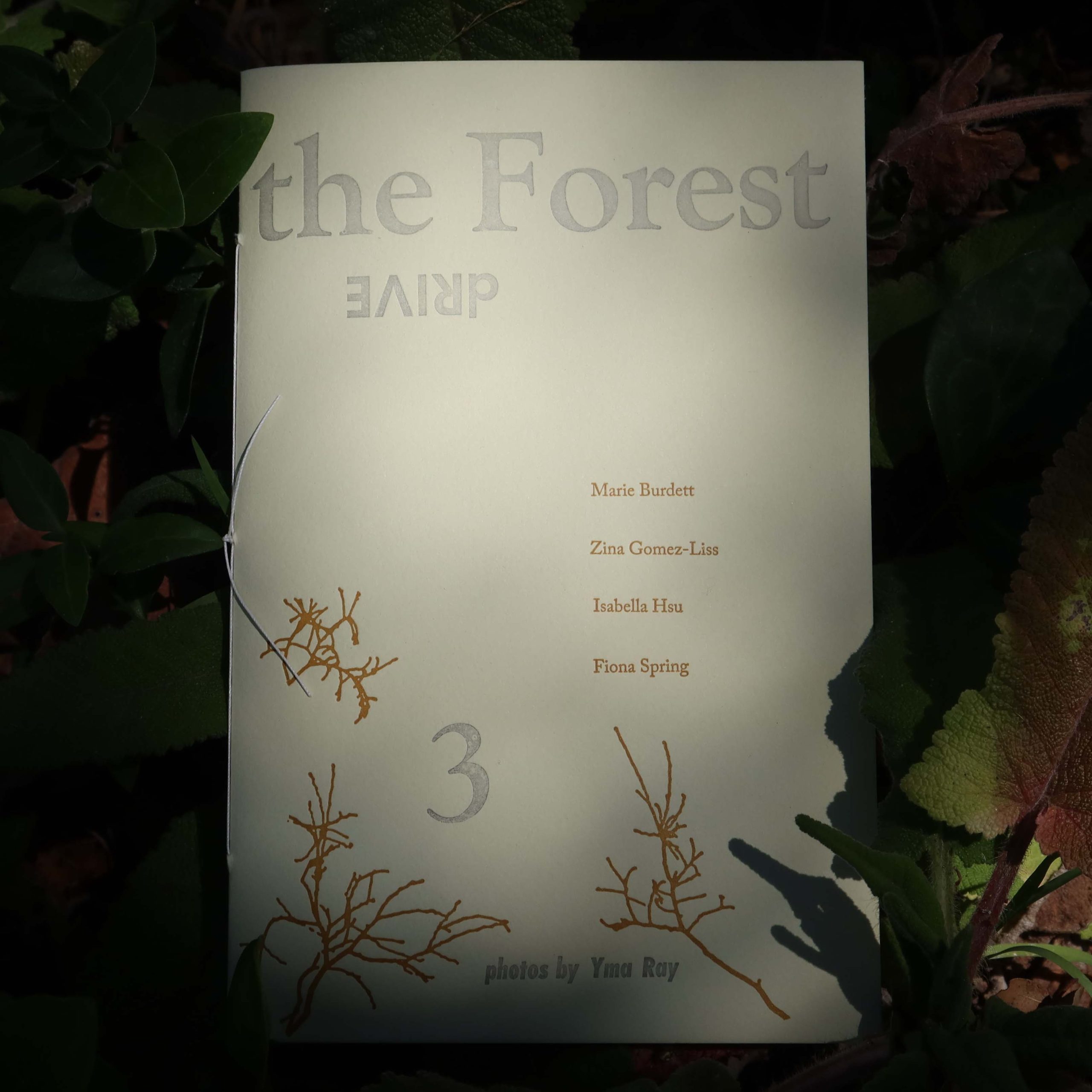 the Forest dRIVE 3 - Burdett, Gomez-Liss, Hsu & Spring