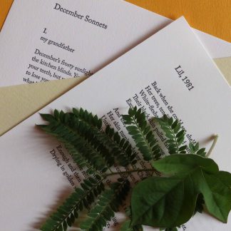 the Forest dRIVE 3 - Burdett, Gomez-Liss, Hsu & Spring